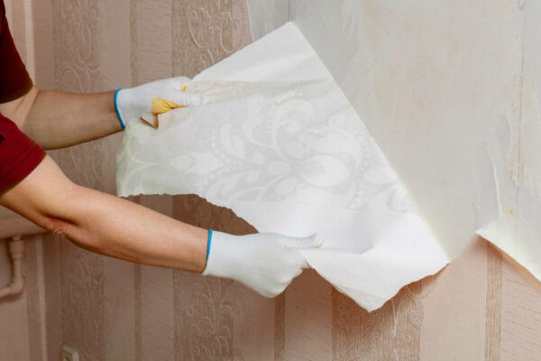 Crisp Eastwood Paint Removal Picture Illustration Crisp Eastwood Paint Removal Picture Illustration