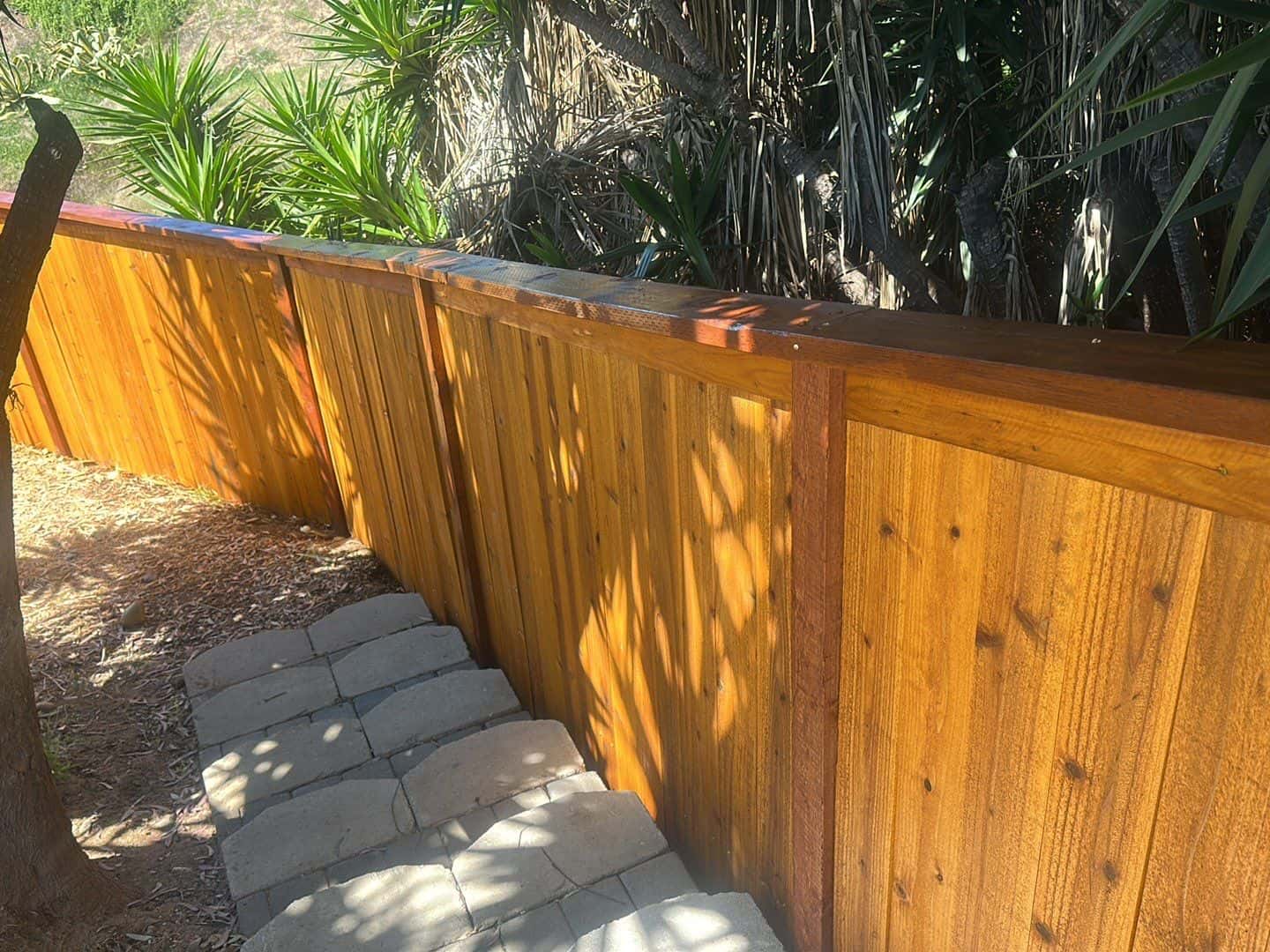 Fence Painting in San Diego